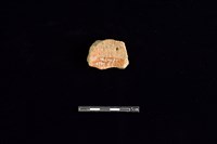 陶片藏品圖，第2張